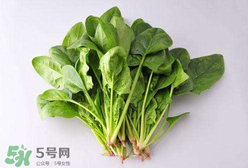 孕婦可以吃菠菜嗎？孕婦菠菜吃多了會(huì)怎樣？