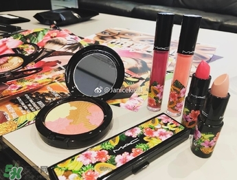 mac2017夏季fruity juicy系列有哪些？