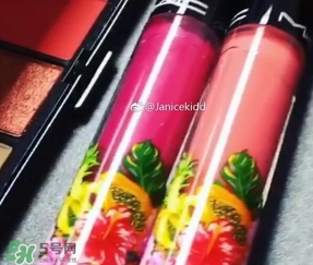 mac2017夏季fruity juicy系列有哪些？