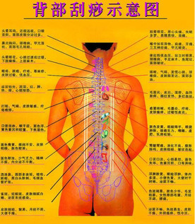 背部怎么刮痧視頻？背部刮痧手法視頻