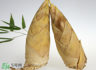 竹筍什么時(shí)候長(zhǎng)出來(lái)？竹筍幾月份長(zhǎng)出來(lái)？