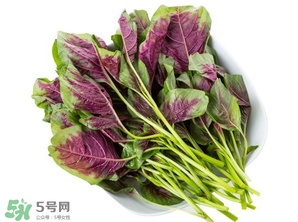 孕婦能吃莧菜嗎？孕婦可以吃莧菜嗎？