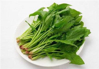 孕婦可以吃菠菜嗎？孕婦菠菜吃多了會(huì)怎樣？