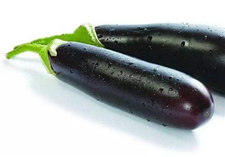 孕婦不能吃茄子嗎？為什么孕婦不能吃茄子？