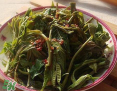 香椿要過水嗎？香椿怎么過水？