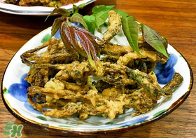 香椿什么時(shí)候吃？香椿什么時(shí)候不能吃？