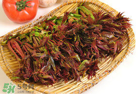 香椿什么時(shí)候吃？香椿什么時(shí)候不能吃？