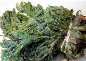 香椿腌制多久可以吃？香椿腌多長時間能吃？