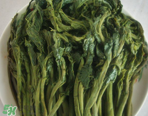 香椿腌制多久可以吃？香椿腌多長時間能吃？