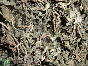 香椿可以曬干嗎？香椿怎么曬干？