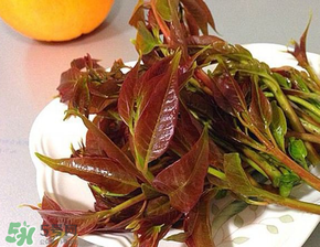 香椿可以冷凍嗎？香椿凍了能吃嗎？