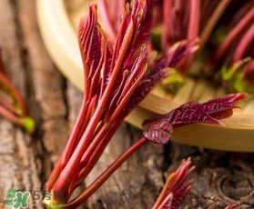 香椿能放冰箱嗎？香椿放冰箱能保存多久？