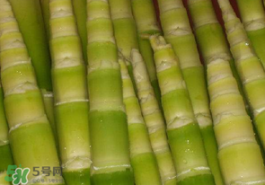 竹筍不焯水有毒嗎？竹筍不過(guò)水能吃嗎？