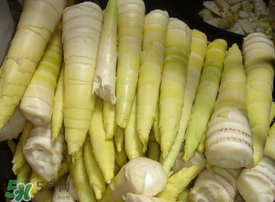 竹筍有毒嗎？吃竹筍會(huì)中毒嗎？