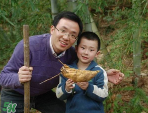 竹筍什么時(shí)候挖？竹筍幾月挖？