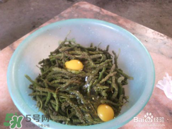 構(gòu)樹穗怎么做好吃？構(gòu)樹穗的做法是什么？