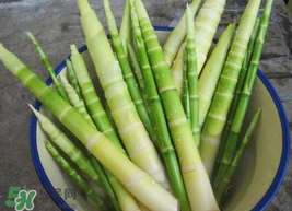 竹筍能放冰箱嗎？竹筍放冰箱怎么保存？