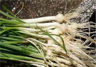 小根蒜孕婦能吃嗎？小根蒜孕婦可以吃嗎？