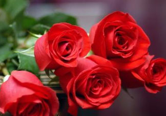 五月份什么花開？五月份開什么花？