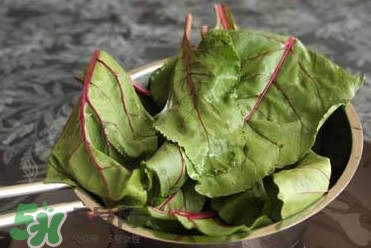 甜菜葉是否可以生吃？甜菜葉可以生吃嗎