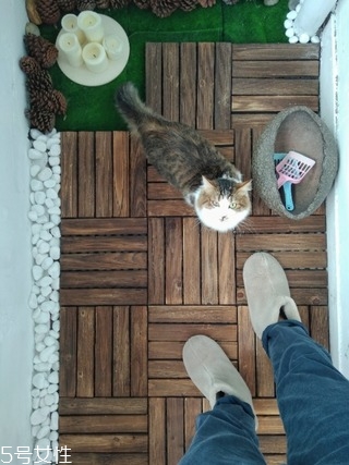 出租房怎么布置好看 出租房如何布置好看 出租房怎么布置好看 出租房如何布置好看