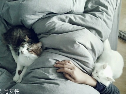 出租房怎么布置好看 出租房如何布置好看 出租房怎么布置好看 出租房如何布置好看