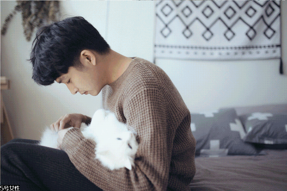 出租房怎么布置好看 出租房如何布置好看 出租房怎么布置好看 出租房如何布置好看