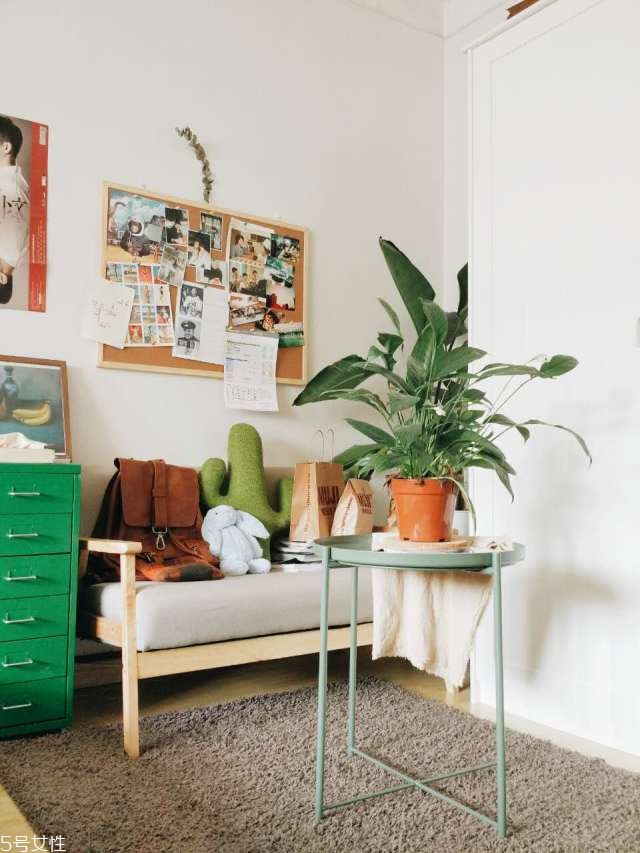 出租房怎么布置好看 出租房如何布置好看 出租房怎么布置好看 出租房如何布置好看