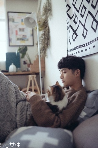 出租房怎么布置好看 出租房如何布置好看 出租房怎么布置好看 出租房如何布置好看