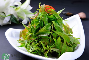 香椿可以涼拌嗎？香椿怎么涼拌嗎？