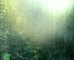 四月份會(huì)一直下雨嗎？2017年四月份為什么一直下雨？