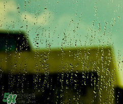 四月份會(huì)一直下雨嗎？2017年四月份為什么一直下雨？