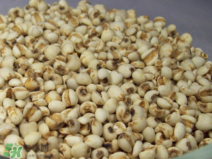 孕婦能吃薏米嗎？孕婦可以吃薏米嗎？