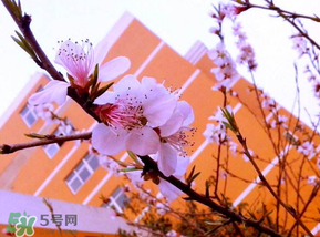 2017年四月份天氣如何？2017年四月份天氣預(yù)報(bào)