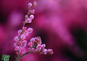 2017年四月份天氣如何？2017年四月份天氣預(yù)報(bào)