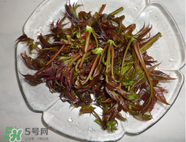 涼拌香椿要過水嗎？香椿涼拌前需要用開水焯一下嗎？