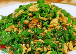 香椿可以生吃嗎？香椿能生吃嗎？