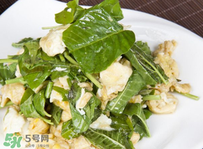 香椿可以生吃嗎？香椿能生吃嗎？