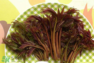 香椿芽可以冷凍嗎？香椿芽怎么冷凍？