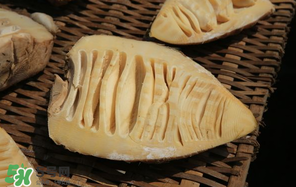 竹筍什么時(shí)候有？竹筍什么時(shí)候最好吃？