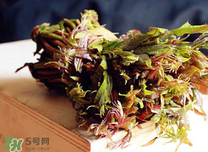 香椿很貴嗎？香椿為什么那么貴？