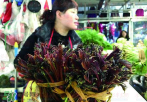 香椿很貴嗎？香椿為什么那么貴？