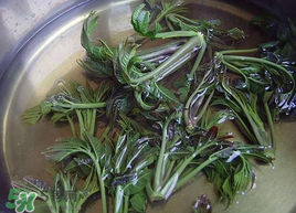 香椿為什么要用開水燙？香椿用開水燙多久？