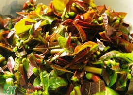 香椿為什么要用開水燙？香椿用開水燙多久？