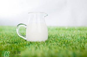 香椿可以和牛奶一起吃嗎？香椿和牛奶能一起吃嗎？