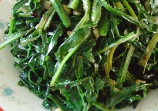 苦苦菜是什么菜？苦苦菜是苦苣嗎