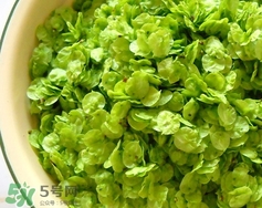 榆錢怎么清洗?榆錢怎么洗干凈? 榆錢怎么清洗?榆錢怎么洗干凈?