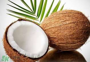 椰青和椰皇的區(qū)別 椰青和椰皇哪個(gè)好？