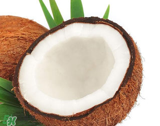 椰青和椰皇的區(qū)別 椰青和椰皇哪個(gè)好？