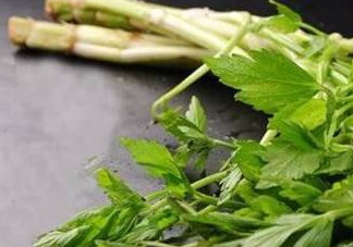水芹菜的葉子可以吃嗎？水芹菜葉子能吃嗎